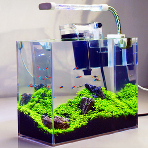 Mini Acuario de Escritorio de Acrílico Transparente <span class=keywords><strong>con</strong></span> Luz LED y Filtro para <span class=keywords><strong>Peces</strong></span> Betta - Product Image 2