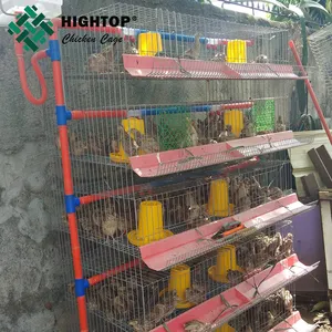 Jaula de colocación de codorniz de malla de alambre automática, a la venta, Filipinas
