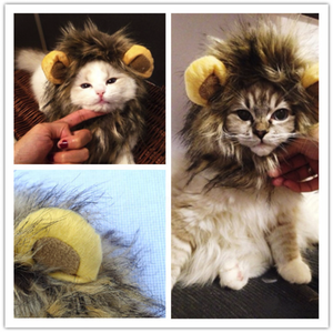 Gros <span class=keywords><strong>Chat</strong></span> Lion Panda Mickey <span class=keywords><strong>Crinière</strong></span> Perruque <span class=keywords><strong>Chat</strong></span> Costume Chapeau Cheveux <span class=keywords><strong>Chat</strong></span> Pour Animaux De Compagnie Chiot Cosplay Perruque - Product Image 6