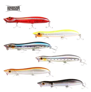 Hunthouse OEM/ODM 110mm 125mm pesca Isca artificial topwater stick bait sea fishing surface lure