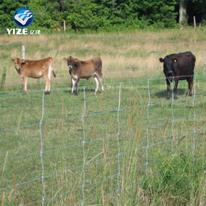 Dây sắt mạ kẽm điện/Dây thép mạ kẽm bọc nhựa PVC/Dây mạ kẽm lưới cuộn dây hàng rào (nhà máy chất lượng Trung Quốc) - Product Image 1