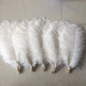 Giá Rẻ Bán Buôn Số Lượng Lớn Lông Đà Điểu Nhân Tạo Tổng Hợp Lông - Product Image 6