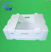Pp Wellpappe Cor flute Kunststoff recycelbar wieder verwendbare starke wasserdichte Trauben box