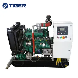 Generator Lpg 10KW Garansi Global Disetujui CE