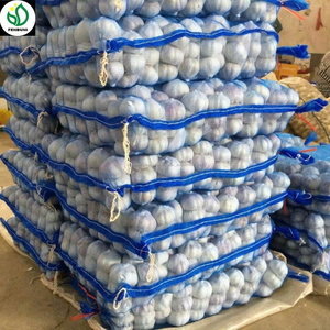 Nueva China ajo blanco fresco encurtidos ajo almacenamiento a guinea - Product Image 5