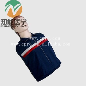 <span class=keywords><strong>Primeros</strong></span> <span class=keywords><strong>auxilios</strong></span> adultos media boby maniquí de <span class=keywords><strong>rcp</strong></span> - Product Image 2