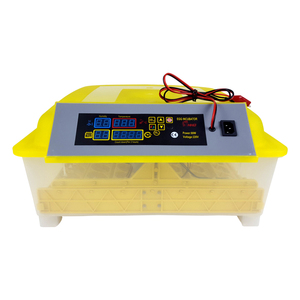 Hhd Plastic Automatische 110V 220V 12V Ac/Dc Dual Power 48 Mini Ei Incubator