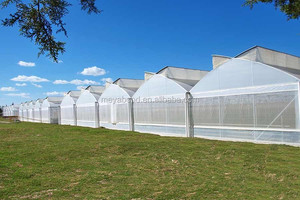 <span class=keywords><strong>Meyabond</strong></span> chống chuyến đi lưới 55 bán nóng - Product Image 3