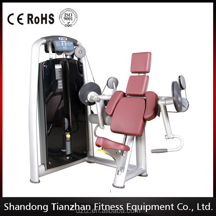 Ce approuvé Biceps Curl Machines Body Fit équipement d'exercice TZ-6013