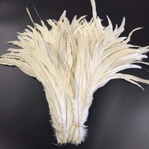 ขนไก่แบบขนไก่ล้างสีขาวขนาด40-45ซม. สำหรับชุดคาร์นิวัล - Product Image 1