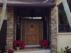Speakeasy and <strong>Decorative</strong> <strong>Clavos</strong> and Grill Wrought Iron Exterior Door with Sidelight - Product Image 2