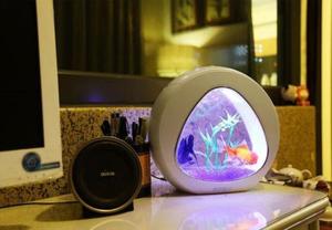 Ecologie <span class=keywords><strong>Mini</strong></span> <span class=keywords><strong>Nano</strong></span> <span class=keywords><strong>Aquarium</strong></span> <span class=keywords><strong>Aquarium</strong></span> Met Ingebouwde Filter En Led Licht - Product Image 5