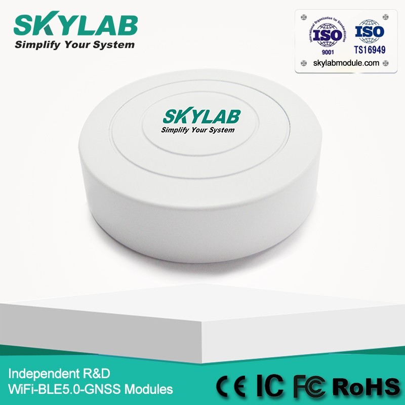 SKYLAB Faible Coût VG01 Programmable UUID/Grands/Mineur nRF51822 Petit Bluetooth Balise Récepteur