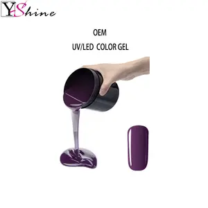 Chine Fournisseur Uv Gel Fabricant Oem Gros Nail Art En Vrac 1 kg Gel Polonais