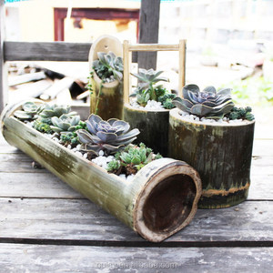 <span class=keywords><strong>Florero</strong></span> <span class=keywords><strong>de</strong></span> bambú para manualidades <span class=keywords><strong>de</strong></span> decoración <span class=keywords><strong>de</strong></span> Material <span class=keywords><strong>de</strong></span> bambú <span class=keywords><strong>de</strong></span> pulido largo - Product Image 4