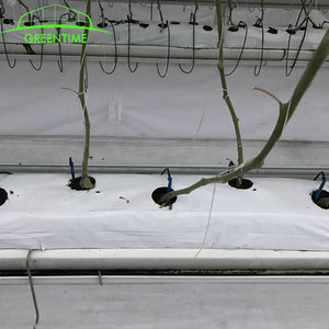 Serre de culture hydroponique <span class=keywords><strong>industrielle</strong></span>, système hydroponique intérieur en PVC - Product Image 3