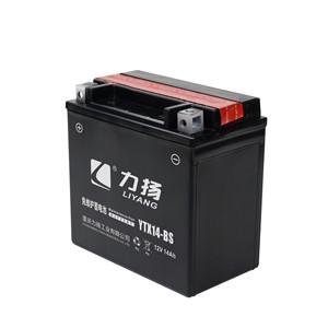 Denel batteries au plomb SMF <span class=keywords><strong>12v</strong></span> <span class=keywords><strong>12ah</strong></span> <span class=keywords><strong>YTX14</strong></span>-<span class=keywords><strong>BS</strong></span> sans entretien gel moto batterie batterie batterie de moteur de moto - Product Image 6