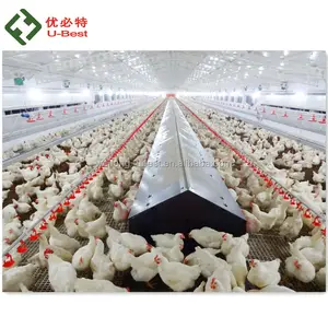 Tasarım Modern Broiler Tavuk Çiftliği için Otomatik Tavukçuluk Besleyici ve Damızlık Makinaları Ekipmanları