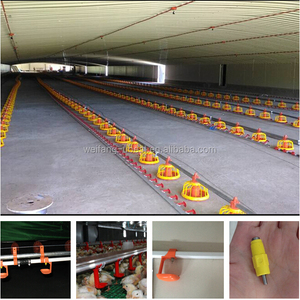 Lage kosten gevogelte kip <span class=keywords><strong>farm</strong></span> building voor Filippijnen - Product Image 3