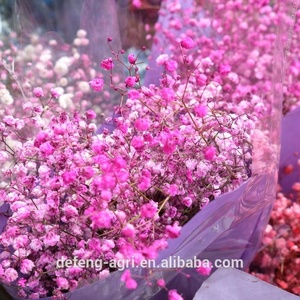 フェスティバルギフト永遠の生花ベビーブレス - Product Image 2