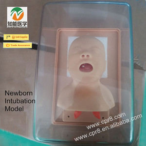 <span class=keywords><strong>Recursos</strong></span> Didácticos BIX-J2A bebé recién nacido airway intubación maniquí - Product Image 3