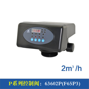 TMF65P1 F65P3 RUNXIN 2 M3 Wasserenthärter-Steuerventile für RO-Anlagen - Product Image 2