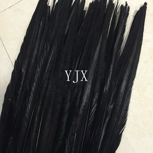 40-45Cm Bán Buôn Dài Plumas De Faisan Ringneck Gà lôi Lông Hình Ảnh - Product Image 6