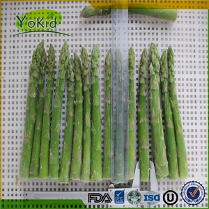Suministrar el mejor servicio natural espárrago verde congelado - Product Image 1