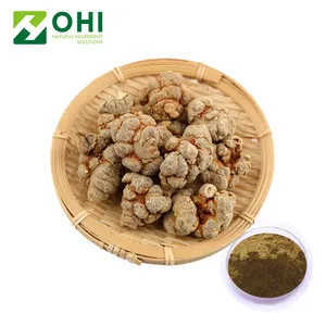 Natural Panax Notoginseng Extract powder | Notoginseng Extract