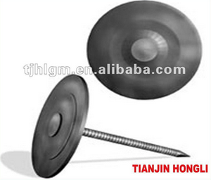 Tapa metálica de alambre de hierro redondo uñas de mampostería con espiga surco del <span class=keywords><strong>Surtidor</strong></span> de China - Product Image 2