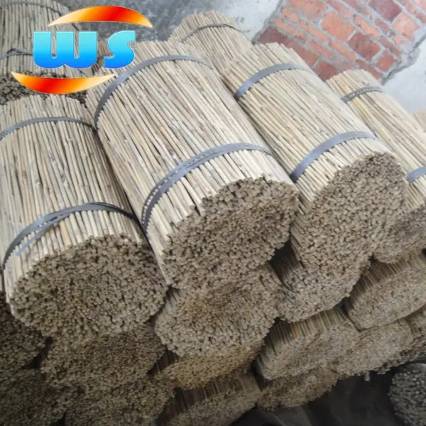 Kecil Bamboo Cane/Terbaik Bambu Di Dunia GUANGDONG Cina/Bambu 38Cm/8-10Mm