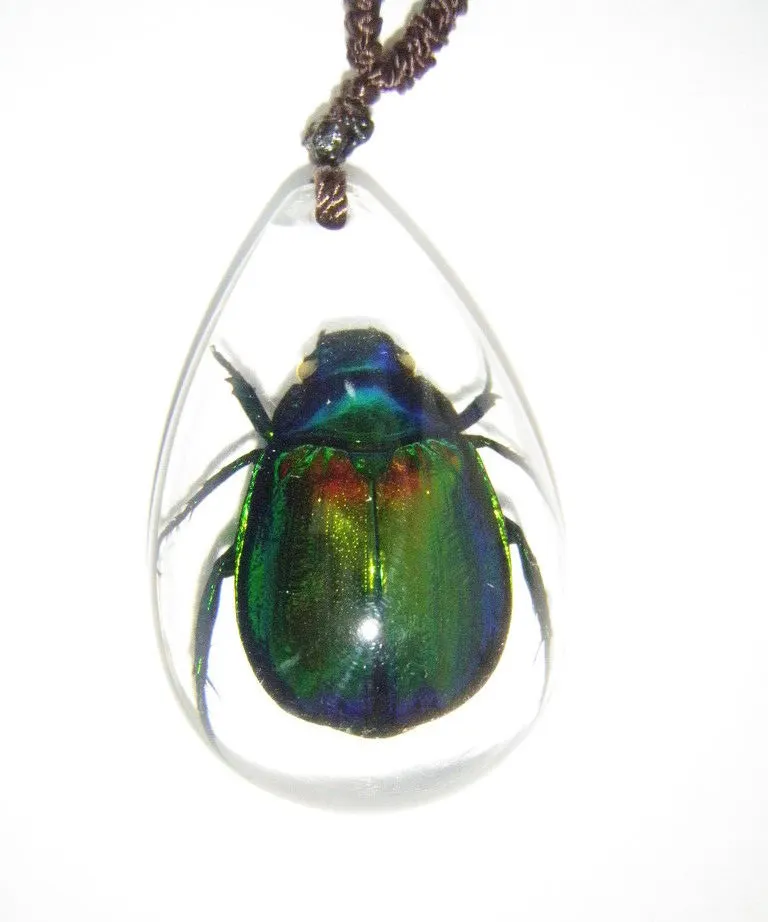New Style Embedded Real Insect Bug Specimen Necklace Teenage Kids Cool Jewelry Various Choice