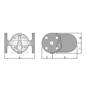 Trampa de vapor de cubo con brida invertida de bola libre de flotador de acero inoxidable - Product Image 6