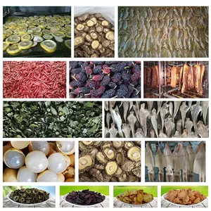 Beef Jerky Drying Machine Guangzhou Exporter Factory Meat Incense Feed Drying Machine Industrial Beef Jerky Dehydrator