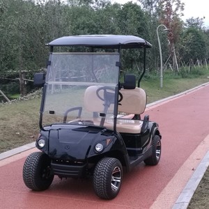 <span class=keywords><strong>Mini</strong></span> Carro de <span class=keywords><strong>Golf</strong></span> Eléctrico Recargable de 2 Plazas para Club de <span class=keywords><strong>Golf</strong></span> - Product Image 3