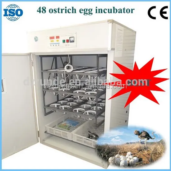 Top selling automatic 48 eggs ostrich egg incubator/incubator for ostrich for sale