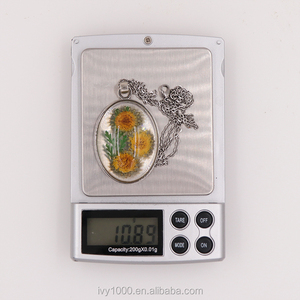 Natural Real <strong>Pressed</strong> <strong>Flower</strong> Resin Metal Long Chain Pendant <strong>Necklace</strong> - Product Image 5