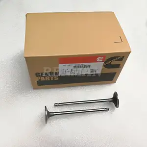 Cummins ISDE ISBE Intake Dan Exhaust Valve 3940735 3802924 3802967 3940734