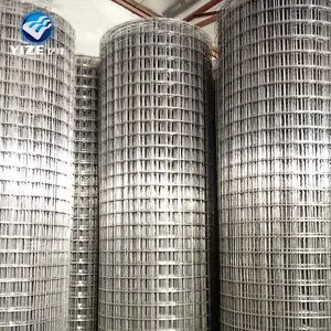 poultry wire mesh (Galvanized PVC coated)