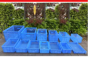 Huangyan प्लास्टिक इंजेक्शन एफ V टोकरा ढालना प्लास्टिक इंजेक्शन कारोबार बॉक्स ढालना शॉट चक्र समय स्वचालित रूप से tomat