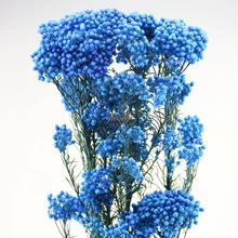 ドライフラワーブーケプリザーブフラワーライスフラワーのラッピング Buy 米花 包装花束 ドライフラワーブーケ Product On Alibaba Com ドライフラワーブーケプリザーブフラワーライスフラワーのラッピング Buy 米花 包装花束 ドライフラワーブーケ Product On Alibaba Com