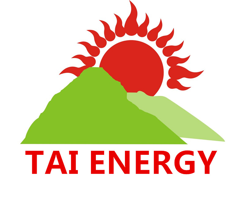 Dongping Tai Energy Co., Ltd. logo