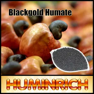 Huminrich blackgold humate phân bón urê humic axit