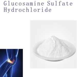 Halal N Acetyl Glucosamin Chondroitin MSM in Pulver 1500 milligramm Marken