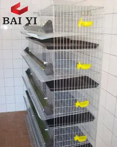 5 Tiers Quail Cage Design/Quail Cages For Laying Hens/Quail Cage and Water System