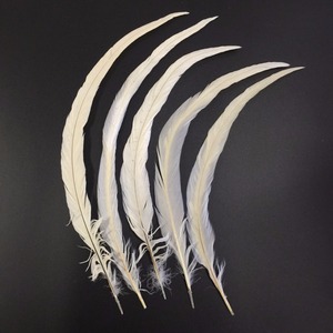 ขนไก่แบบขนไก่ล้างสีขาวขนาด40-45ซม. สำหรับชุดคาร์นิวัล - Product Image 6