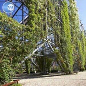 Profesional x-tienden malla de cable de acero inoxidable de <span class=keywords><strong>la</strong></span> pared verde de <span class=keywords><strong>la</strong></span> <span class=keywords><strong>serie</strong></span> - Product Image 5