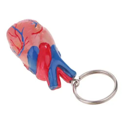 Mini Heart Model With Key Chain