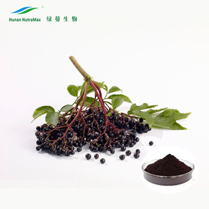 Mẫu miễn phí <span class=keywords><strong>Sambucus</strong></span> <span class=keywords><strong>Nigra</strong></span> Chiết Xuất Anthocyanins Bột 5% 10% bằng HPLC - Product Image 2