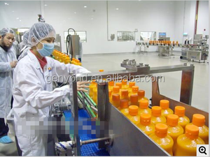 Özelleştirilmiş bileşik meyve suyu işleme hattı Mango soyulmuş çukur makinesi - Product Image 5